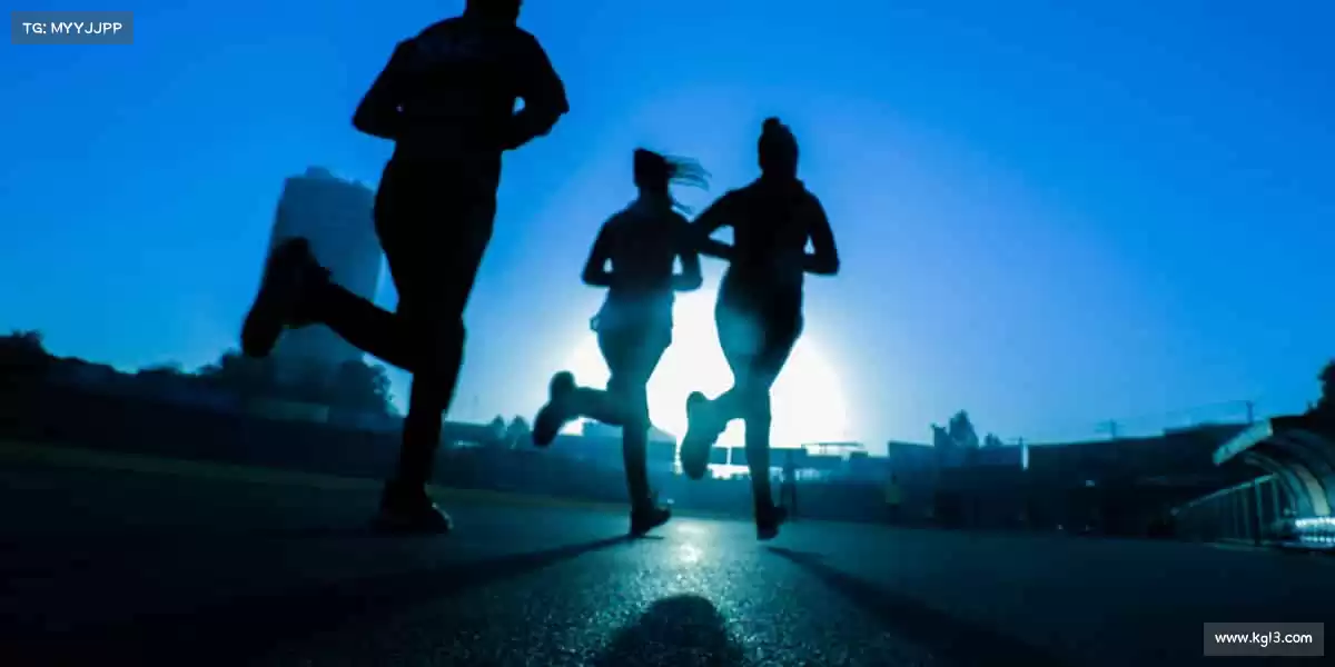 我们的品牌价值